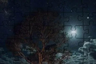 01 jigsaw puzzle