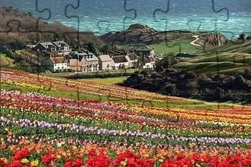 a jigsaw puzzle