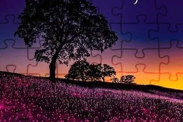 01 jigsaw puzzle