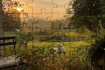 01 jigsaw puzzle