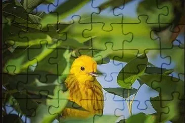 natural jigsaw puzzle