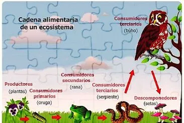 Ecosistema