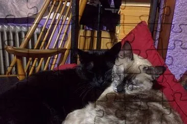 Durmiendo Juntos