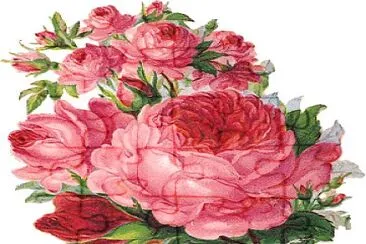 Rosas jigsaw puzzle