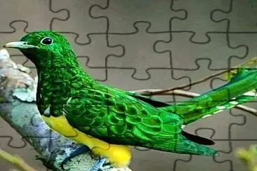 natural jigsaw puzzle