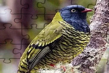 natural jigsaw puzzle