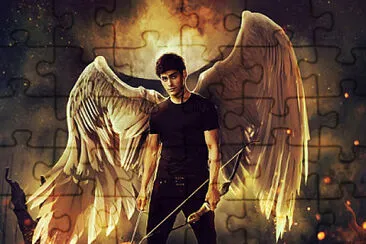 פאזל של alec lightwood