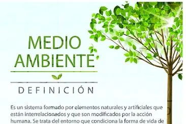 medio ambiente