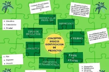 Conceptos bÃ¡sicos para la identificaciÃ³n proyecto