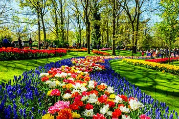 jardin color jigsaw puzzle