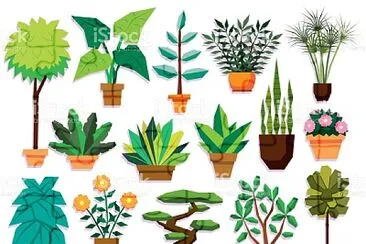 plantas