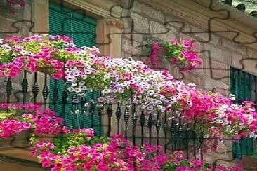 Balcon flores