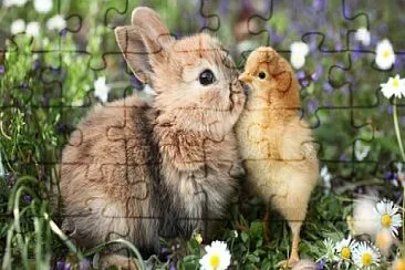 פאזל של The bunny and the chick