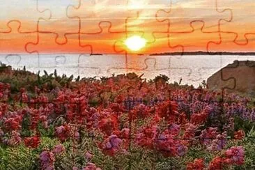 20 jigsaw puzzle