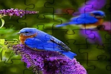 cores jigsaw puzzle