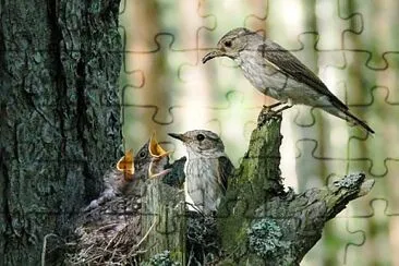 imagem jigsaw puzzle