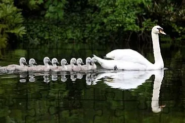 פאזל של FAMILIA