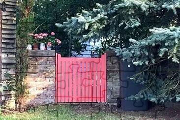 Pink gate   geraniums jigsaw puzzle