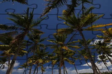 Playa tropical jigsaw puzzle