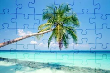 Palmera sobre el agua jigsaw puzzle