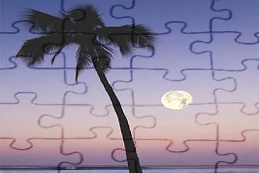 Palmera solitaria jigsaw puzzle