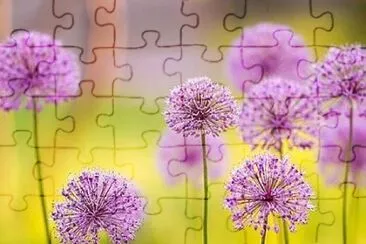 flower jigsaw puzzle