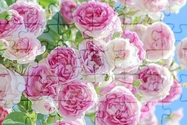 flower jigsaw puzzle