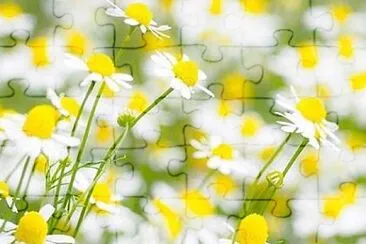 flower jigsaw puzzle