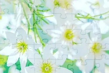 flower jigsaw puzzle