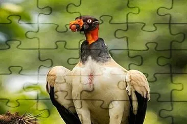 natural jigsaw puzzle