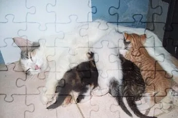 GATA jigsaw puzzle