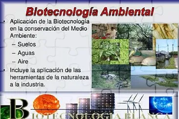 פאזל של BiotecnologÃ­a en le ambiente