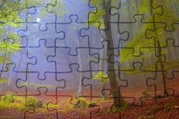 bois jigsaw puzzle