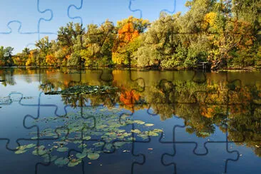 effet miroir jigsaw puzzle