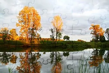 effet miroir jigsaw puzzle