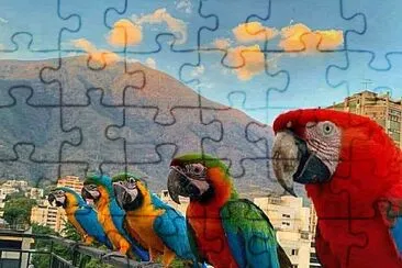 natural jigsaw puzzle