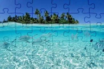 Palmeras y peces jigsaw puzzle