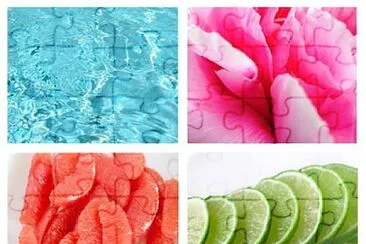 Colores tropicales jigsaw puzzle