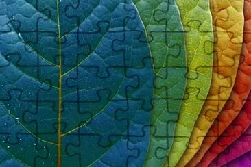 Colourfull leaves jigsaw puzzle