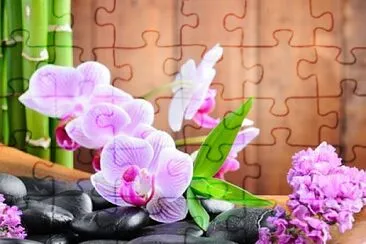 Bunt jigsaw puzzle