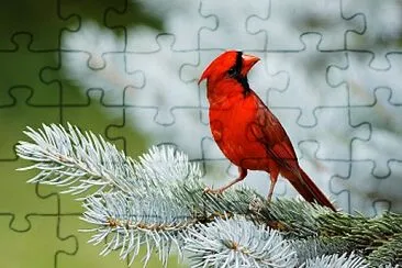 Cardenal jigsaw puzzle