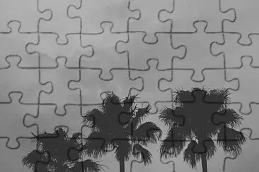 Black and white plam trees jigsaw puzzle