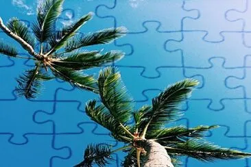 Palmeras y cielo azul jigsaw puzzle