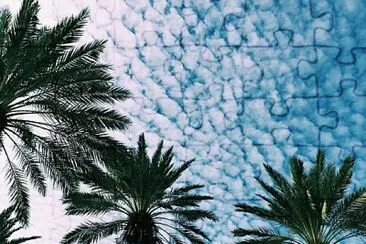 Palmeras y nubes jigsaw puzzle