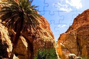 Oasis palm tree jigsaw puzzle