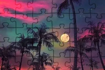 Full moon and palm trees jigsaw puzzle