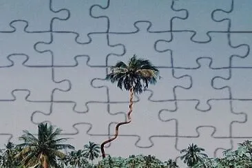 Twisted palm tree jigsaw puzzle