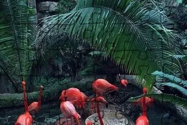 Palm tree and flamingos