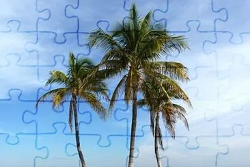 Palm trees at a street beach jigsaw puzzle