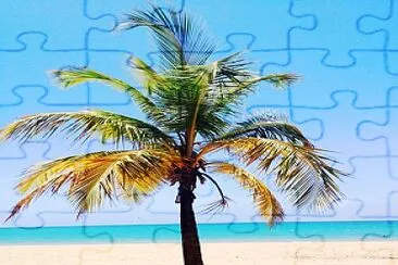 Tropical palm tree jigsaw puzzle